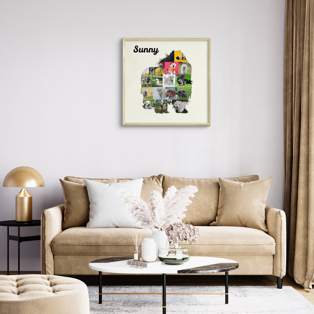 Pêle-mêle photo Bolonka Zwetna avec prénom dans un cadre clair au-dessus du canapé beige, déco pour amoureux des chiens