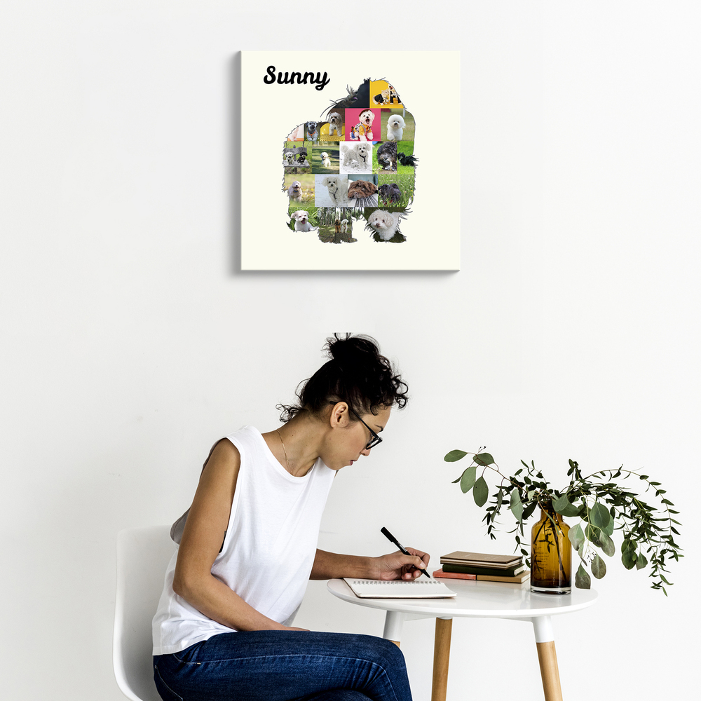 Pêle-mêle photo sur toile en silhouette de Bolonka Zwetna avec prénom, sur fond crème au-dessus d’une table blanche
