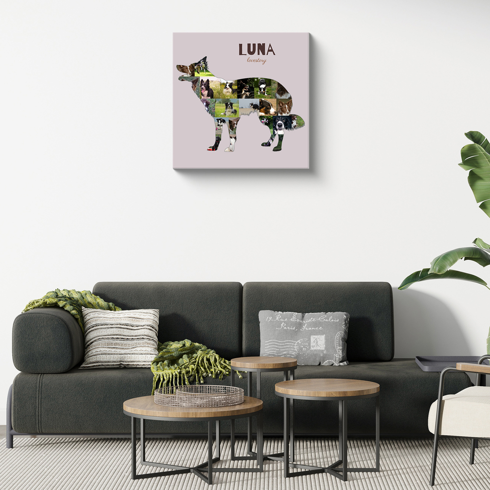 Border-Collie-Fotocollage auf Leinwand mit stehender Silhouette und Namen auf Altrosa über einem dunklen Sofa