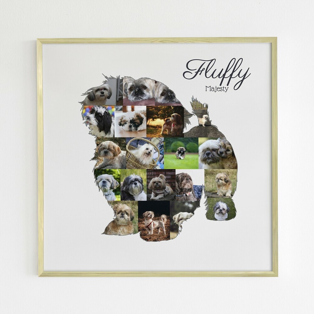 Collage photo en silhouette de shih tzu avec prénom sur fond clair, dans un cadre en bois naturel au mur