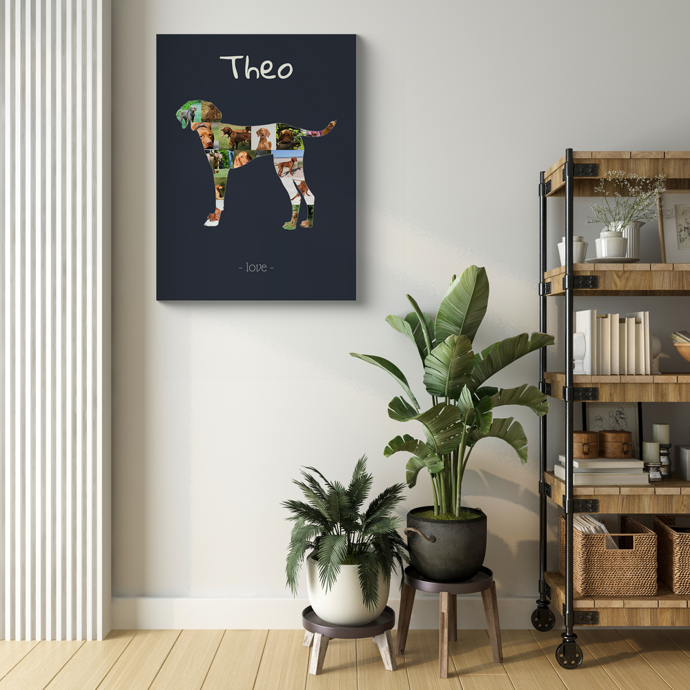 Collage photo en silhouette de vizsla debout, avec prénom sur fond sombre, au mur du salon près des plantes