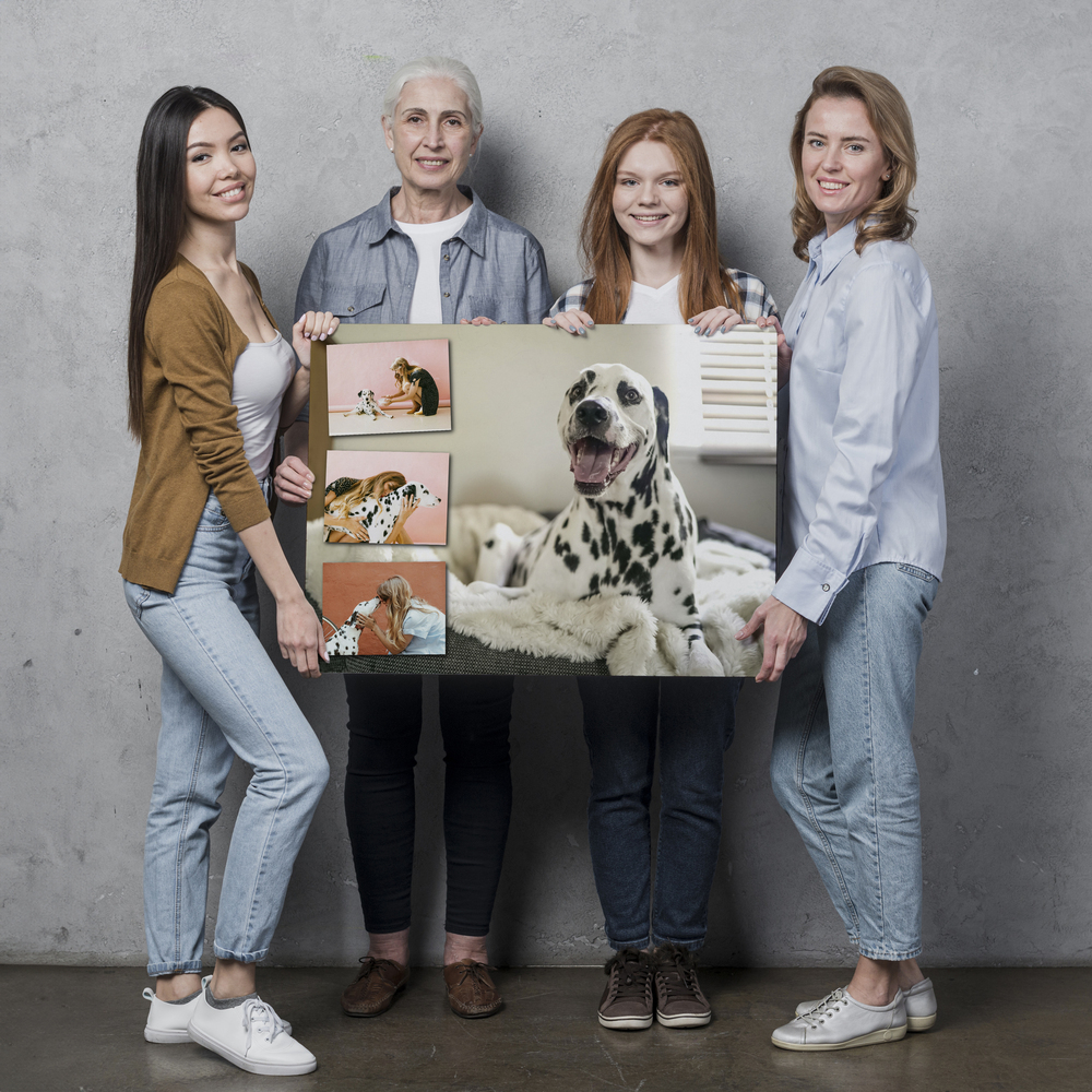 Hunde-Fotocollage auf Alu-Dibond vor grauer Wand, mit großem Dalmatinerporträt und drei kleinen Fotos links