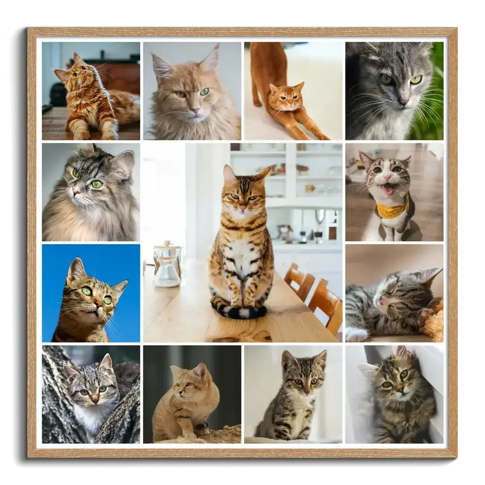 Katzen-Fotocollage im Naturholzrahmen mit großem Mittelfoto und kleineren Porträts, Geschenk für Katzenfreunde
