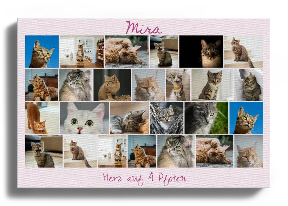 Katzen-Fotocollage auf Leinwand im Querformat mit vielen Fotos, hellrosa Hintergrund und individuellem Namen und Text