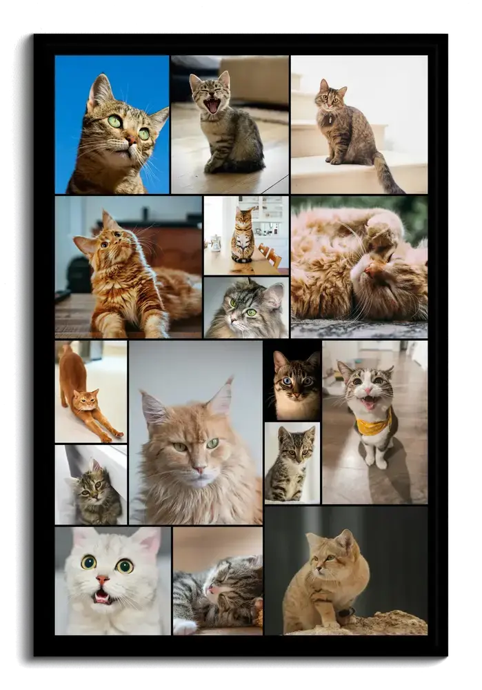 Katzen-Fotocollage im schwarzen Hochformatrahmen mit unterschiedlich großen Katzenporträts und schmalen dunklen Stegen