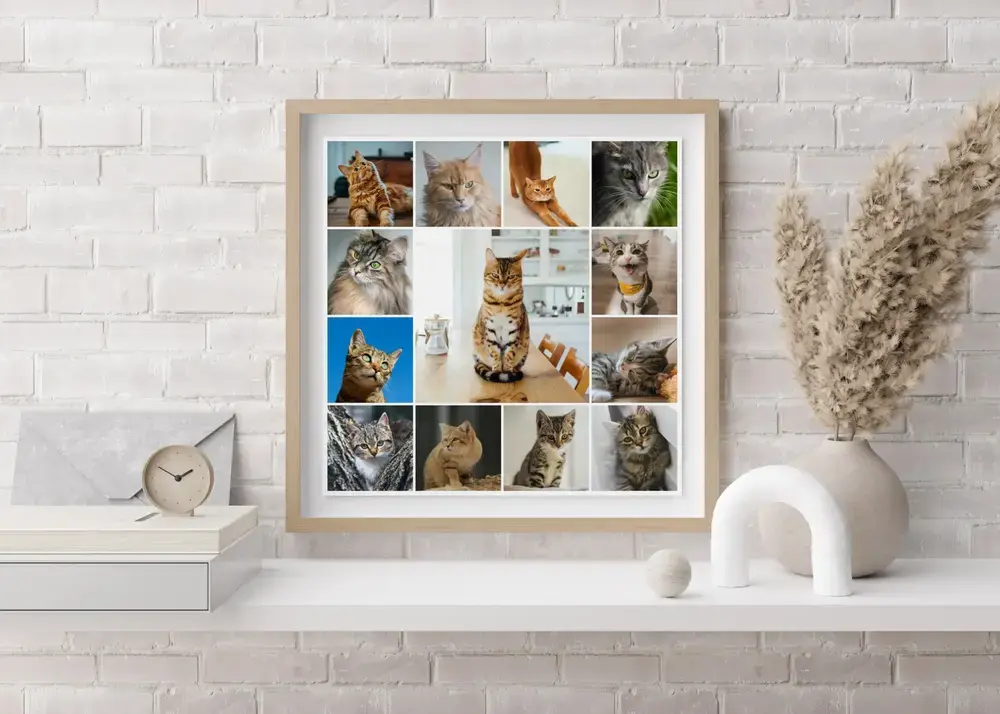 Katzen-Fotocollage mit großem Mittelfoto im hellen Holzrahmen auf einem weißen Wandboard vor weißer Ziegelwand