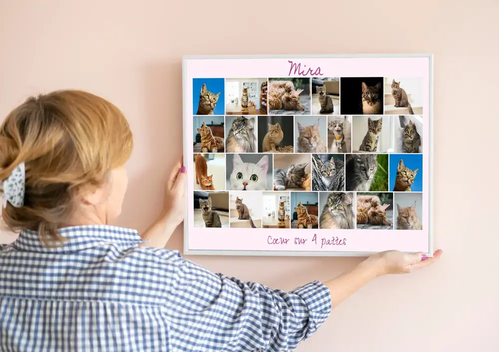 Pêle-mêle de photos de chats avec prénom et texte sur fond rose, dans un cadre blanc au mur couleur pêche