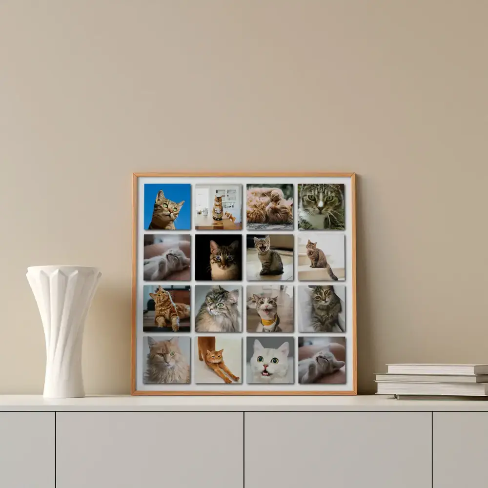 Pêle-mêle de 16 photos de chats encadré en bois sur un buffet blanc, près d’un vase et de livres