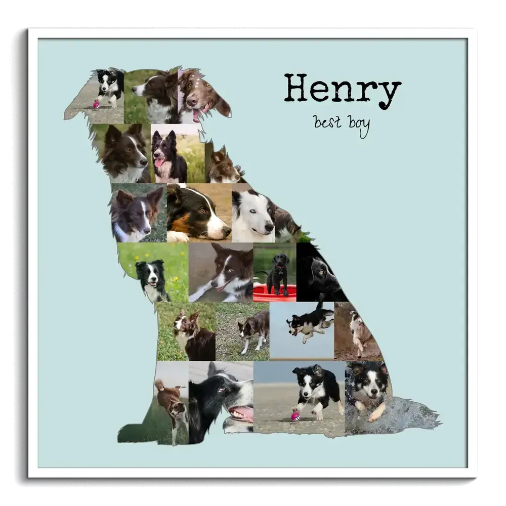 Sitzender Border Collie als Fotocollage mit Namen auf Hellblau im weißen Rahmen, Geschenk für Hundehalter
