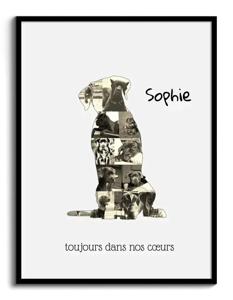 Collage photo en silhouette de cane corso assis, avec nom et dédicace, dans un cadre noir pour les amoureux des chiens