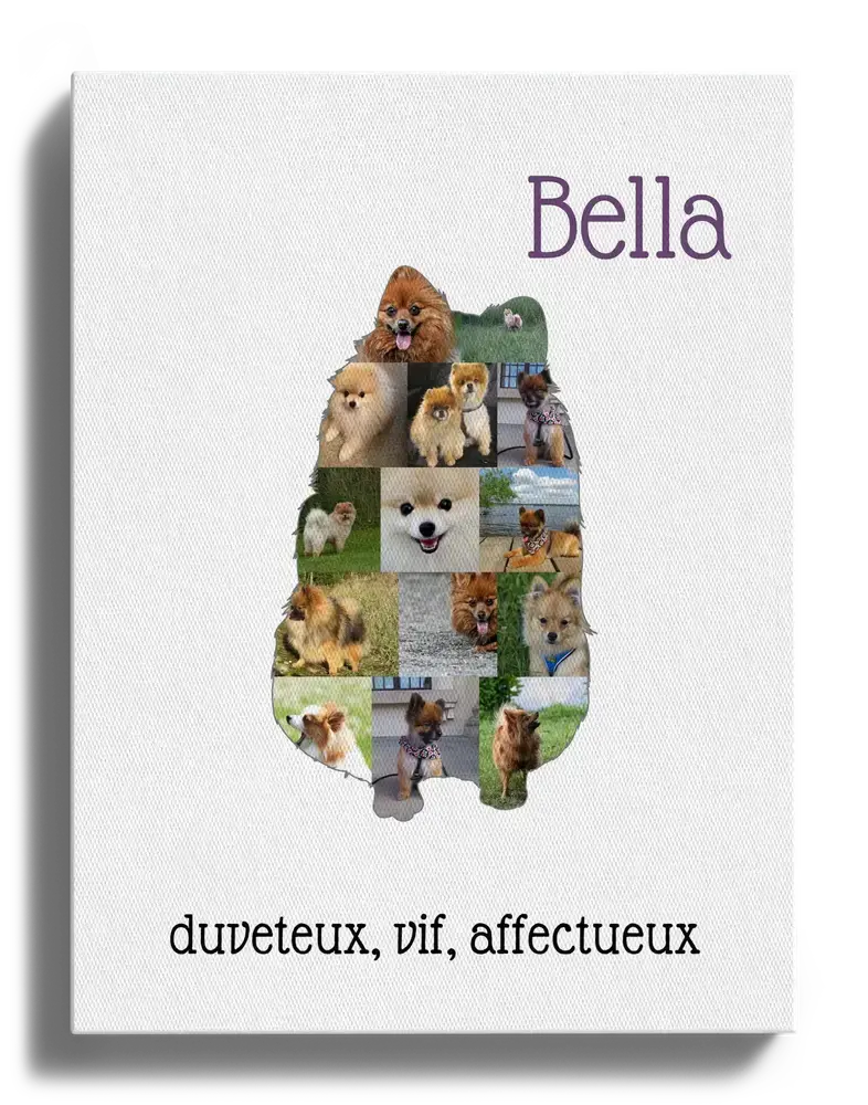 Toile personnalisée avec collage photo en silhouette de spitz nain assis, nom et texte sur fond blanc
