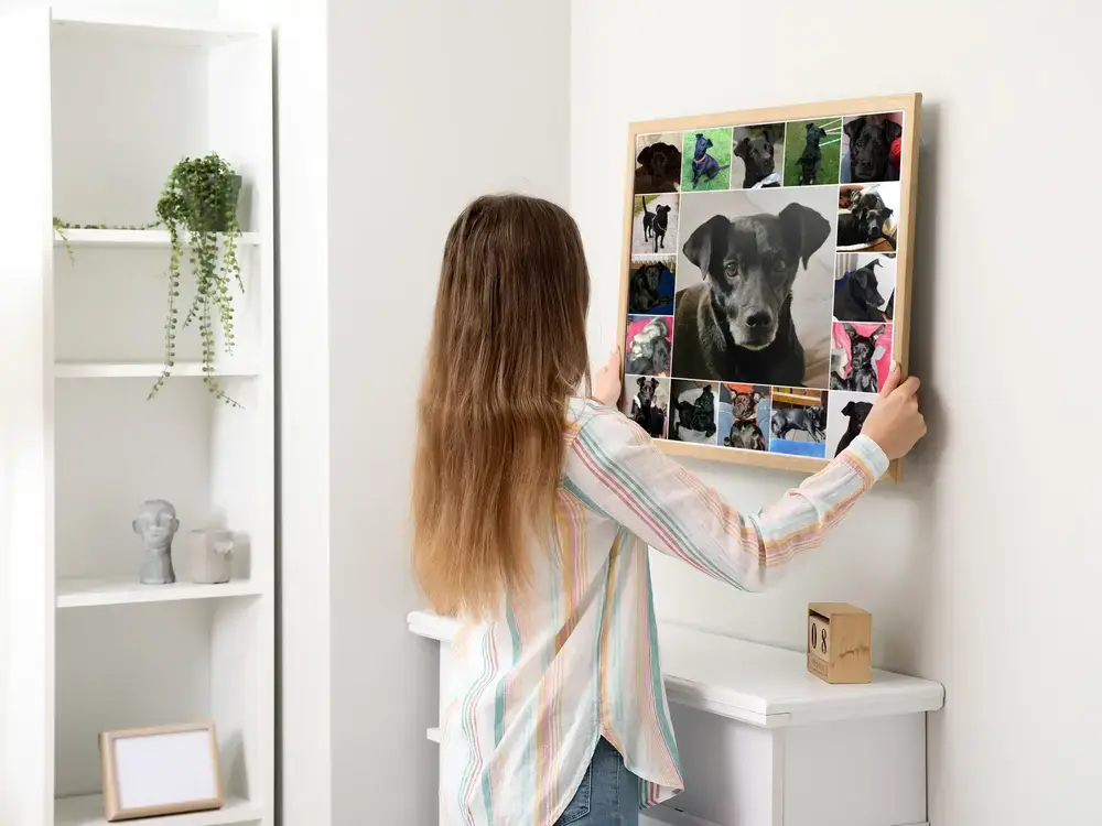 Pêle-mêle de photos de chien noir encadré de bois au-dessus d'une commode, un cadeau pour les amoureux des chiens