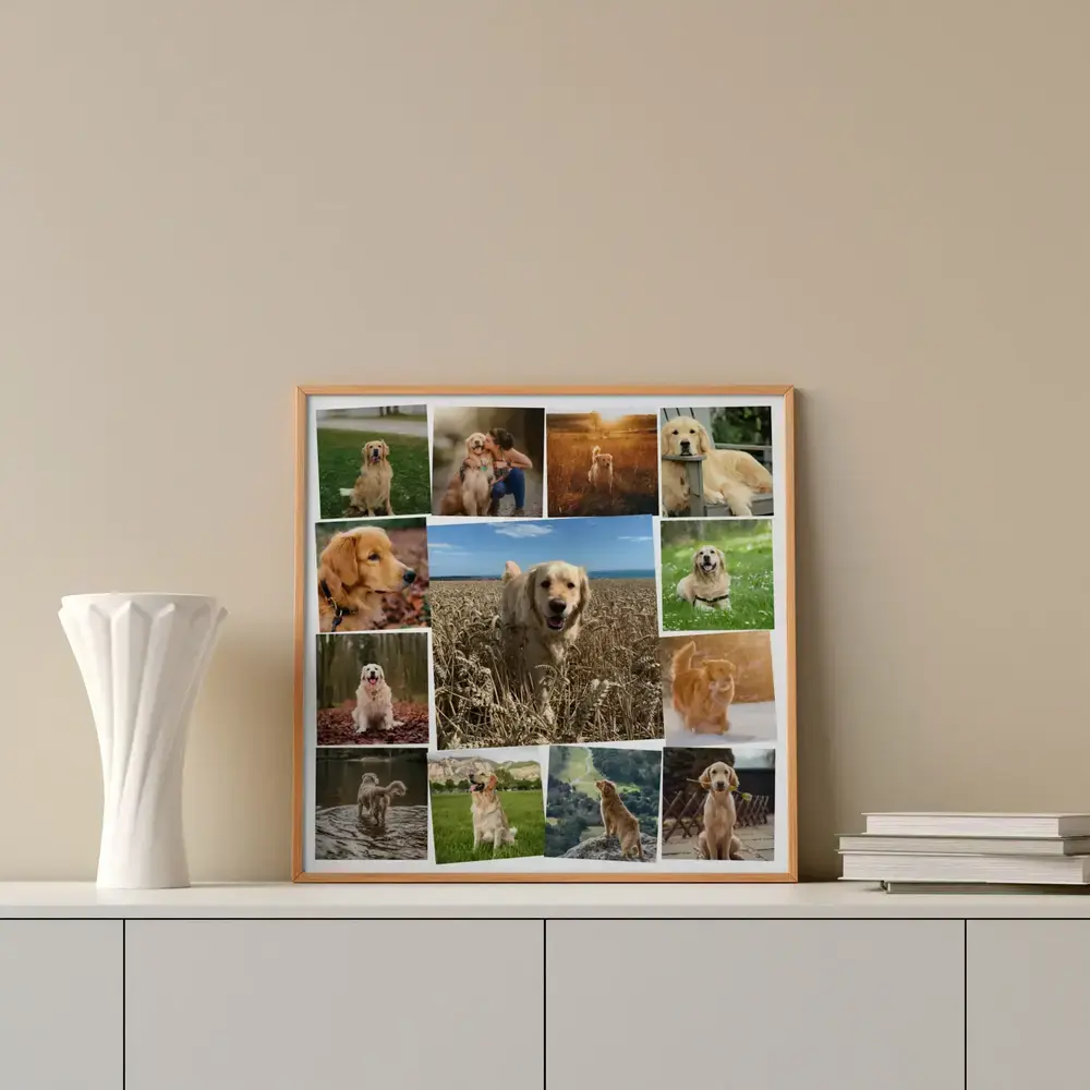 Pêle-mêle photo de golden retriever encadré de bois, posé sur un buffet blanc à côté d'un vase et de livres