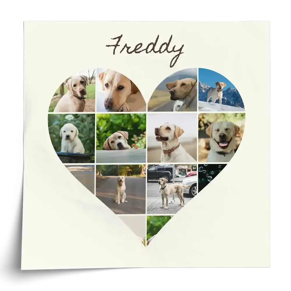 Affiche avec collage de photos de labrador en forme de cœur et prénom personnalisé sur fond crème