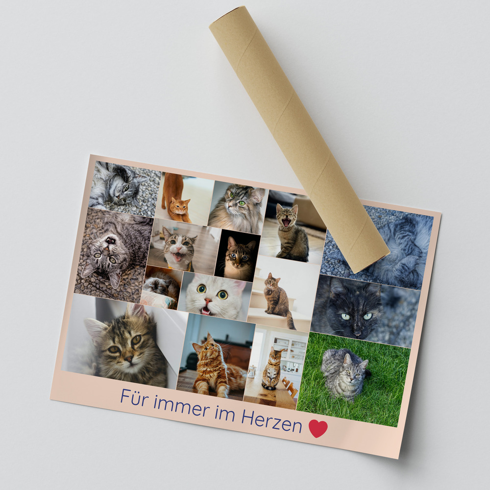 Katzen-Trauercollage als Poster im Querformat mit Fotoraster, Gedenkspruch und rotem Herz neben einer Versandrolle