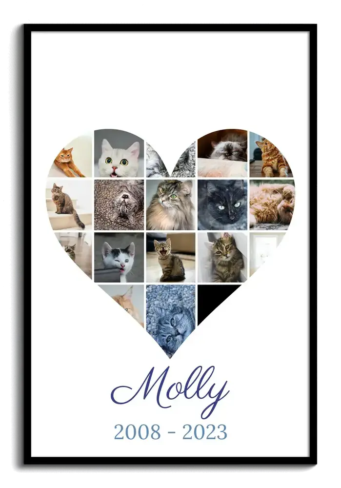 Pêle-mêle photo en cœur en souvenir d’un chat, avec nom et années de vie, dans un cadre noir