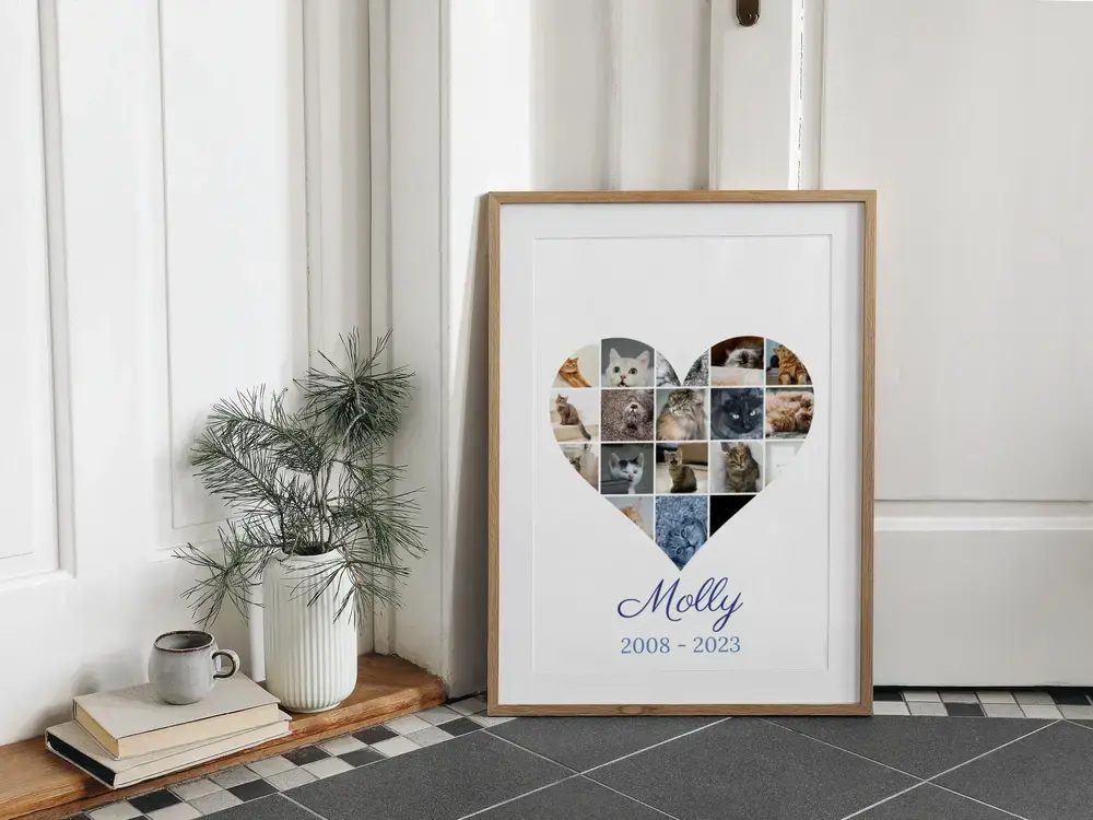 Pêle-mêle en cœur en mémoire d’un chat, avec nom et dates, dans un cadre en bois posé au sol près d’un vase