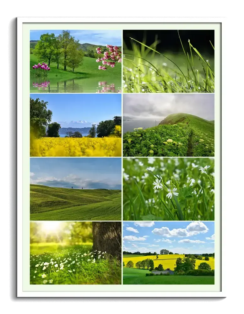 Natur-Fotocollage im Hochformat mit grünen Wiesen, gelben Rapsfeldern und Blüten, im weißen Rahmen
