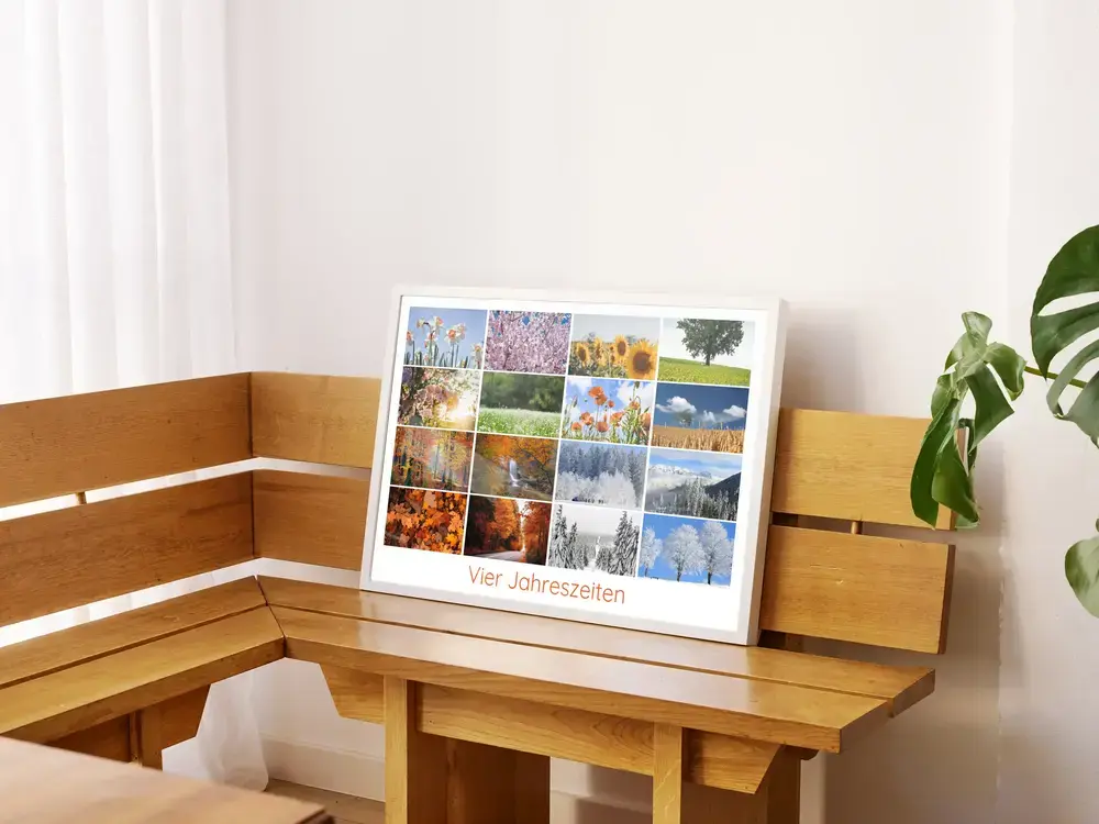 Fotocollage der vier Jahreszeiten mit Naturmotiven im weißen Rahmen, auf einer Holzbank neben einer Pflanze