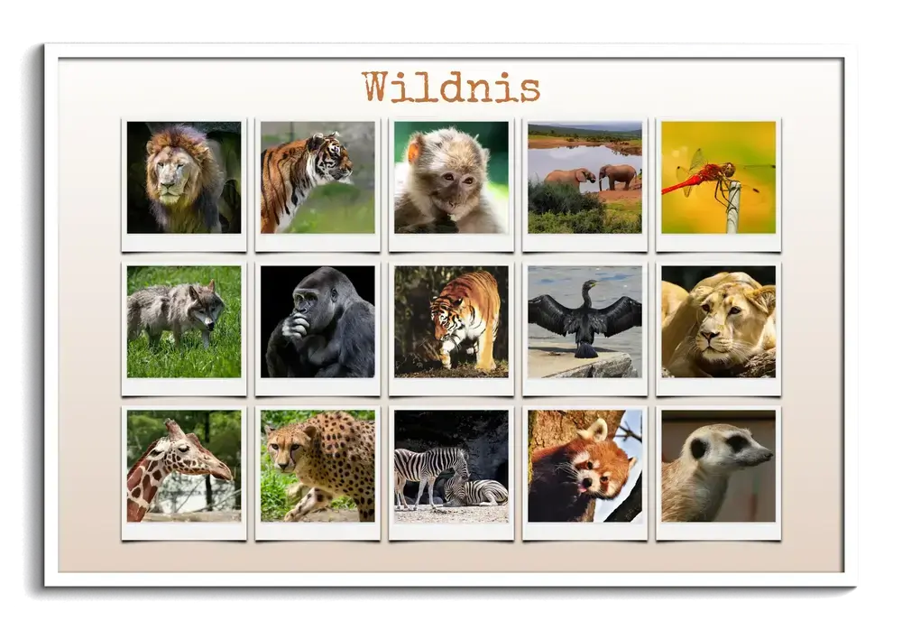 Fotocollage mit 15 Wildtierfotos in Polaroid-Optik und Überschrift, im weißen Querformatrahmen