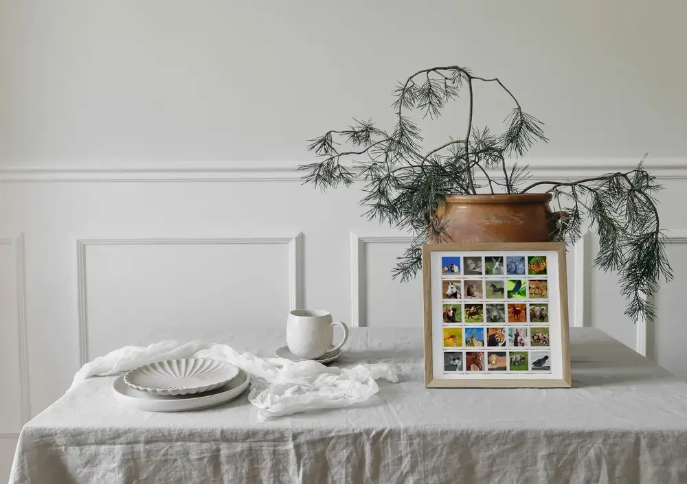 Pêle-mêle photo d’animaux style Polaroid, encadré en bois clair sur une table dressée près d’une plante
