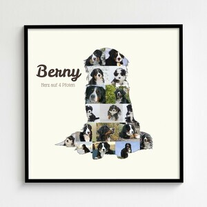 Collage Photo Chiens – Créez un Souvenir Personnalisé pour votre Berner Sennenhund