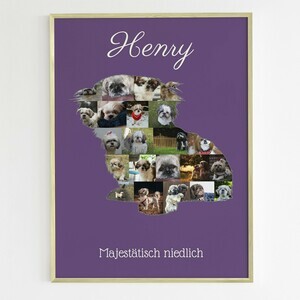 Hunde-Fotocollage "Shih Tzu" erstellen. Eigene Fotos, Namen und Texte.