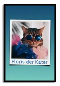 Polaroid-Collage mit Katzenfotos und Namen