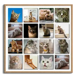 Collage photo Polaroid de votre chat - créez et personnalisez avec nom et texte