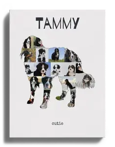Collage Photo Chiens – Créez un Souvenir Personnalisé pour votre Berner Sennenhund