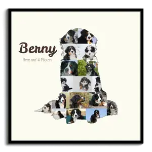 Collage Photo Chiens – Créez un Souvenir Personnalisé pour votre Berner Sennenhund