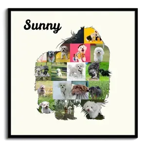 Collage photo personnalisée Bolonka Zwetna pour amoureux des chiens