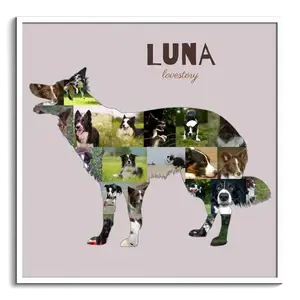 Collage Photo Border Collie - Créez un Souvenir Canin Unique