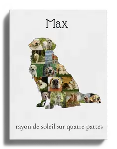 Collage Personnalisée Golden Retriever : Créez un Souvenir Inoubliable en Photos