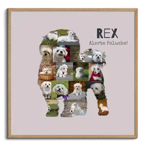 Collage photo Maltais personnalisée pour amoureux des chiens