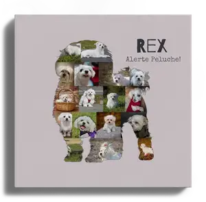 Collage photo Maltais personnalisée pour amoureux des chiens