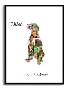 Collage Photo Personnalisée Vizsla - Souvenir Unique pour Amoureux des Chiens