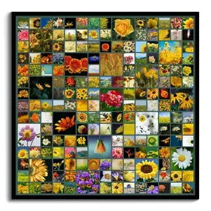 Créez une superbe mosaïque de photos carrées avec vos souvenirs nature