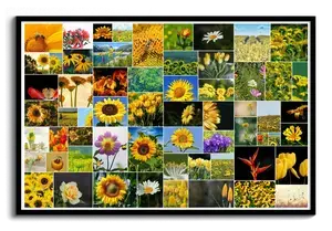 Affiche Collage 61 Photos Fleurs - Créatif et Moderne