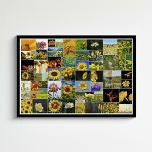 Fotocollage mit 61 Bildern in wilder Anordnung – Poster 50x75cm