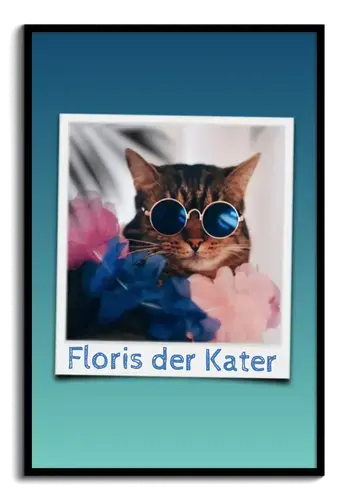 Polaroid-Collage mit Katzenfotos und Namen