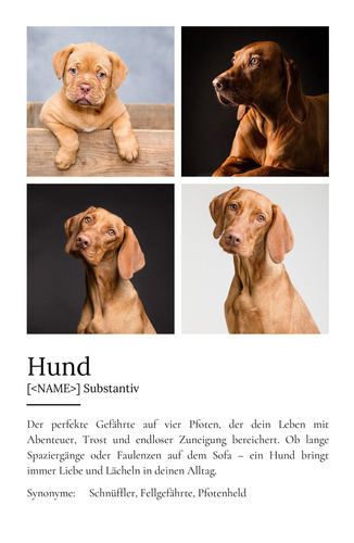 "Hund" Definition - Geschenk als Poster, Leinwand erstellen. Eigene Fotos und Text.