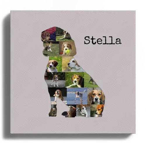 Collage photo Beagle personnalisée - Créez un souvenir unique