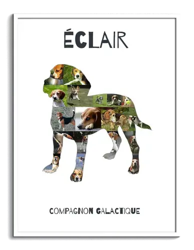 Collage photo Beagle personnalisée - Créez un souvenir unique