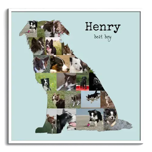 Collage Photo Border Collie - Créez un Souvenir Canin Unique