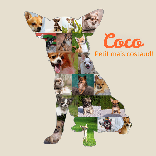 Collage Personnalisée Chihuahua - Créez de Touchants Souvenirs Visuels