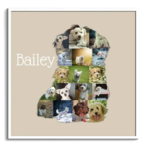 Collage Silhouette Havaneser Photo Personnalisable Chien