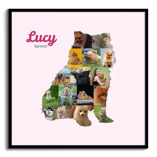 Créez une mosaïque de Pomeranian personnalisée avec vos photos