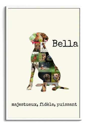 Collage Silhouette Rhodesian Ridgeback: Créez votre souvenir personnalisé