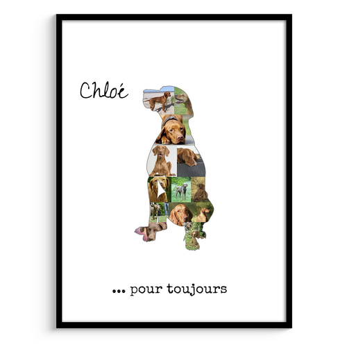 Collage Photo Personnalisée Vizsla - Souvenir Unique pour Amoureux des Chiens